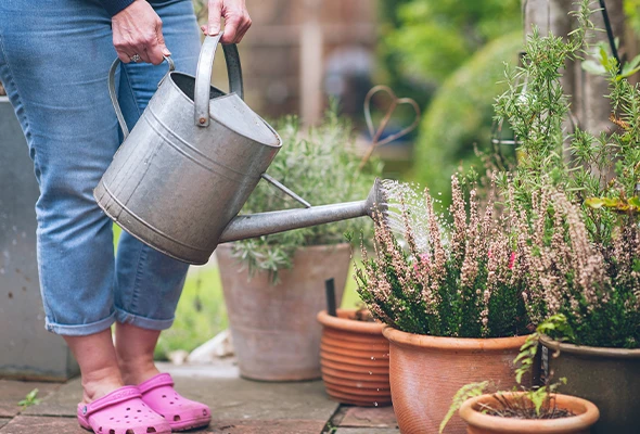 A watering can being used to water flowers in a garden