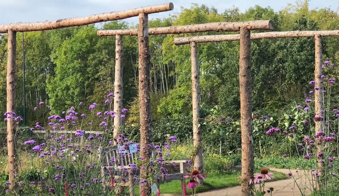 Avon Wildlife Trust garden with flowers